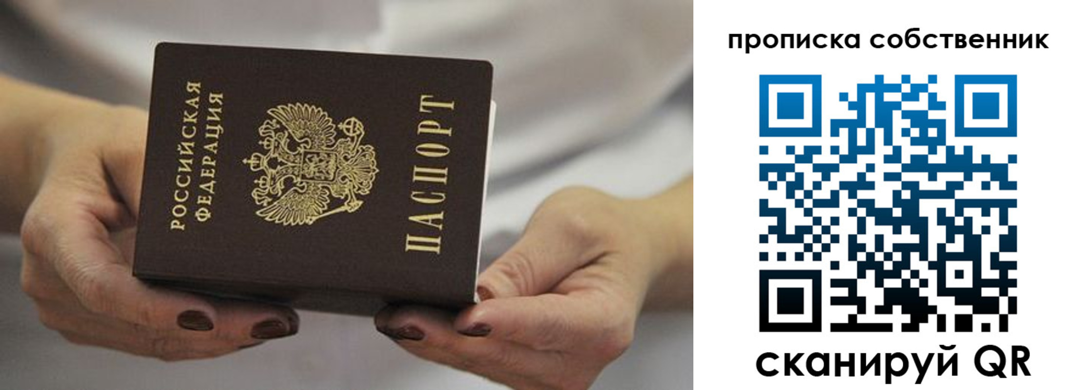 прописка поиск в Благовещенске